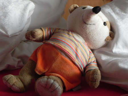 teddybearの写真素材