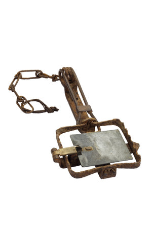 Antique animal trap.の写真素材