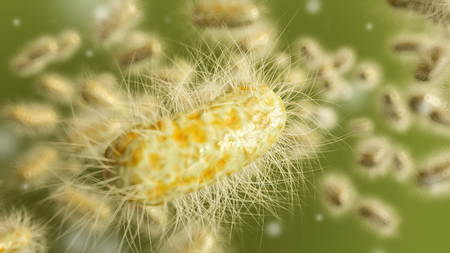 Microscopic bacteria closeup - 3D Renderingの写真素材
