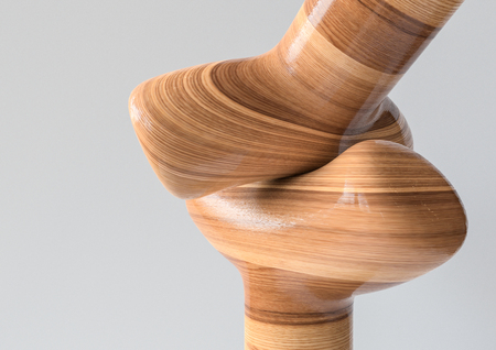 Saddle Joint - Joint types of bones in wood look - 3D Renderingの写真素材