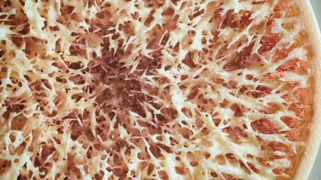 Osteoporosis - Cross Section of a bone - 3D Renderingの写真素材