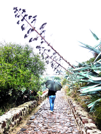 woman walking on a pathの写真素材
