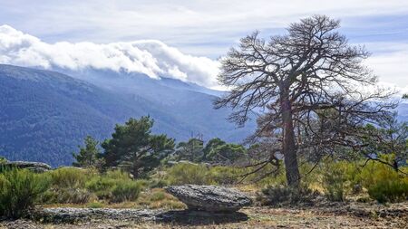 lookout post on the mountainの写真素材