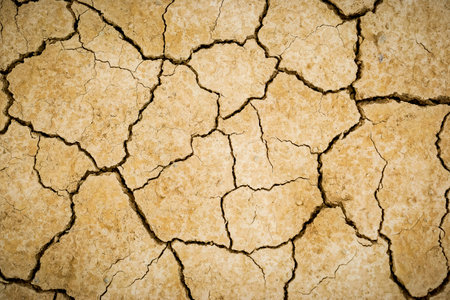 Ground cracked by lack of waterの写真素材