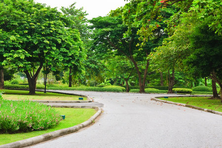 Intersection in parkの写真素材