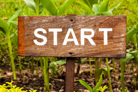 Wooden start sign post with green plant in backgroundの写真素材
