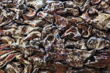 Many pieces of teak wood background surface textureの写真素材