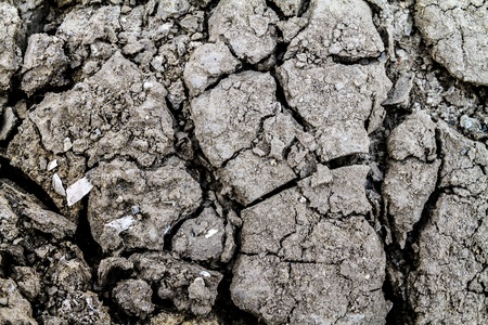 Seamless cracked dry ground texture backgroundの写真素材