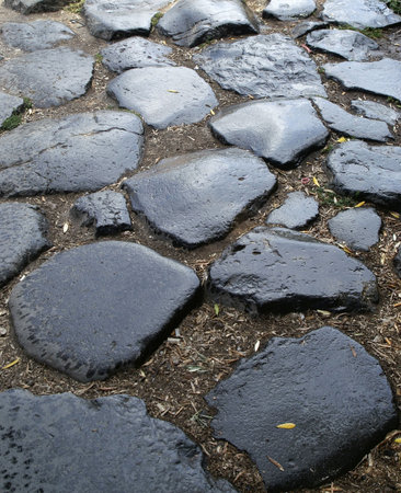 Ancient pathway leading to the roman forumの写真素材