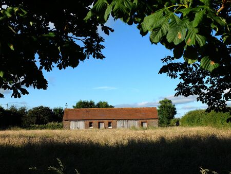 Small abandoned barn in a grass meadowの写真素材