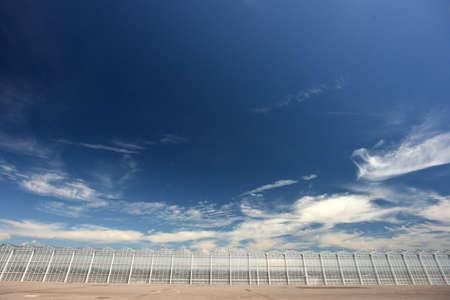 Row of modern industrial greenhouses with blue skyの写真素材