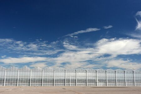 Row of modern industrial greenhouses with blue skyの写真素材