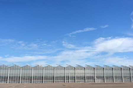Row of modern industrial greenhouses with blue skyの写真素材