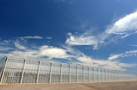 Row of modern industrial greenhouses with blue skyの写真素材