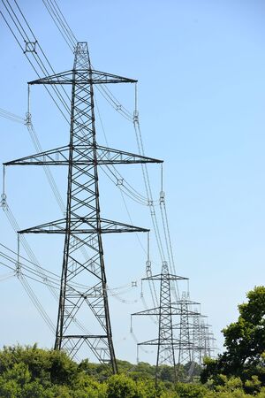 Electricity pylons in trees, uk powerの写真素材