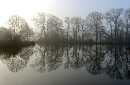 Trees in morning mist reflected in a still lakeの写真素材