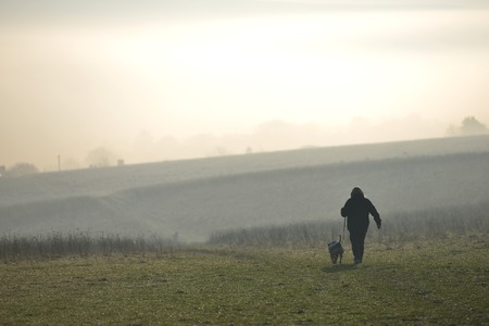 Person walking a dog on a misty day in the countrysideの写真素材