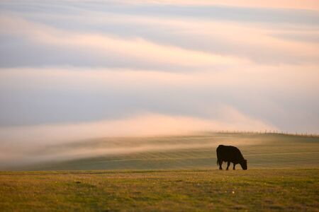 Low cloud on the South Downs at sunsetの写真素材