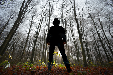 Mysterious man and light in a misty forest at duskの写真素材