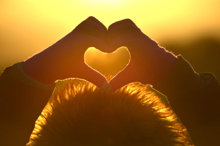 Heart shape made with gloved hands in winter
