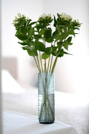 Flowers displayed in a glass vase in a bedroomの写真素材