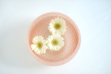 White and yellow giant daisies floating in a pink glass bowlの写真素材