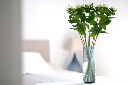 Flowers displayed in a glass vase in a bedroomの写真素材