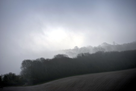 Cloud and mist over a wooded hillsideの写真素材