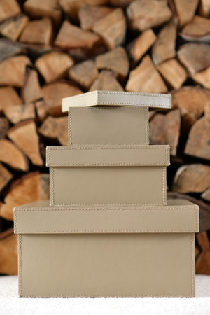 Tan leather storage boxes in front of stack of logsの写真素材