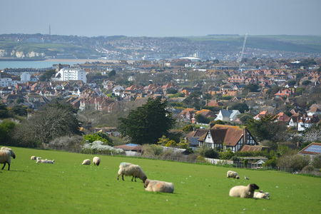 Homes built next to farmland, South Downsの写真素材