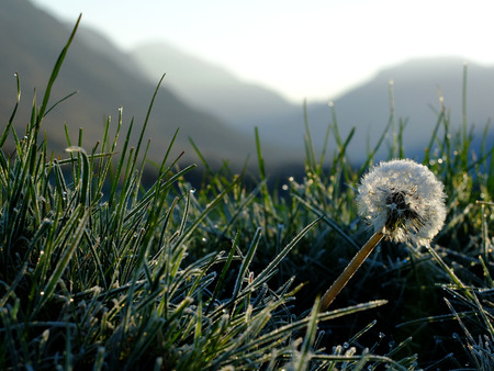 Frosty morning in Wastdale in the English Lake District.の写真素材