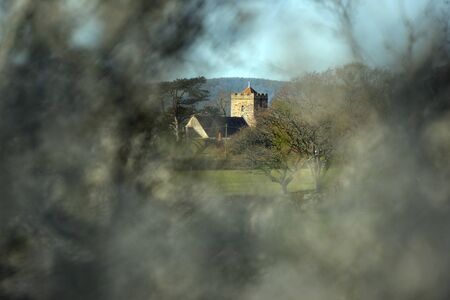 Village church seen through foliage and treesの写真素材