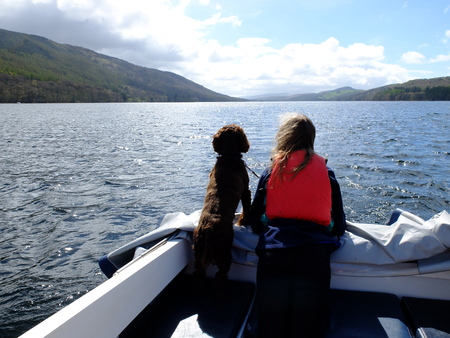 Girl and dog on a boat looking at a lakeの写真素材