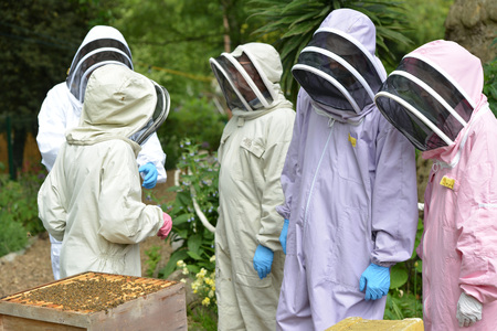 Urban Bee keepers checking hives in Londonの写真素材