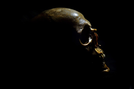 Real human skull on a black backgroundの写真素材