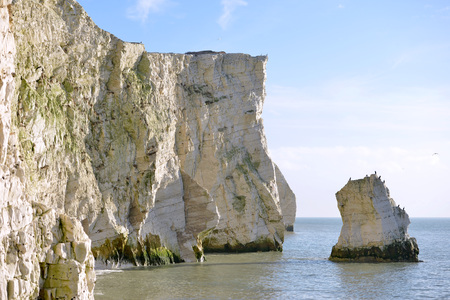 Chalk sea rocks at Splash Point, Seaford, East Sussexの写真素材