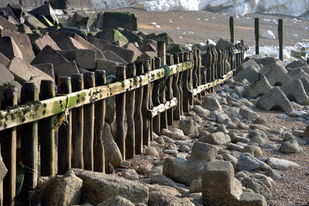 Concrete sea defenses, tetrapods, in Seaford, East Sussexの写真素材