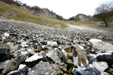 Disused chalk pit n the South Downs National Parkの写真素材