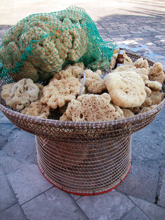 Natural sponges to be sold in Gallipoli, Apulia, Italyの写真素材