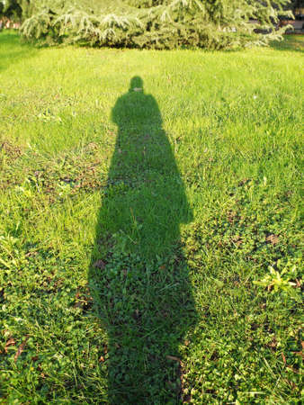 Woman's silhouette shadow on the green grassの写真素材