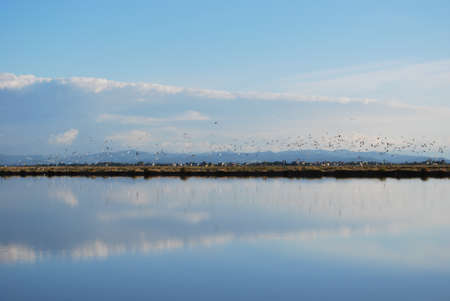 Scenic saltern and water reflections, Cervia, Ravenna, Italyの写真素材