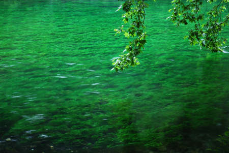 Sorgue river clean green water, Fontaine de Vaucluse, Provence, Franceの写真素材