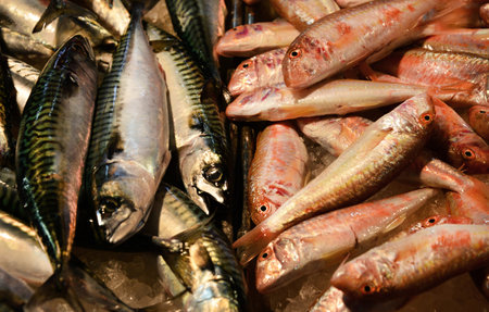 Atlantic Mackerel and Goatfish at the Venice old fish market