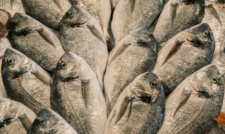 Gilt-head bream at the fish market