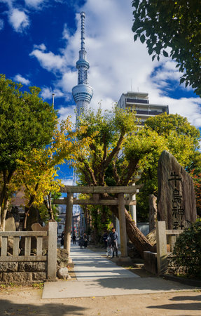 Tokyo, Japan, November 19, 2017: Modern and tradition in Japan. Tokyo Skytree behind an old templeのeditorial素材