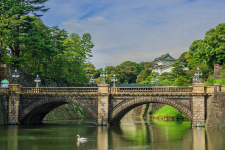 Tokyo Imperial Palace Outer Gardens with the famous Nijubashi Bridge and a swanのeditorial素材