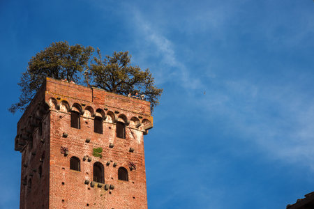 Lucca, Italy, April 28, 2018: The famous and characteristic medieval Guinigi Tower with oak trees and tourists at the top, erected in the 14th centuryのeditorial素材