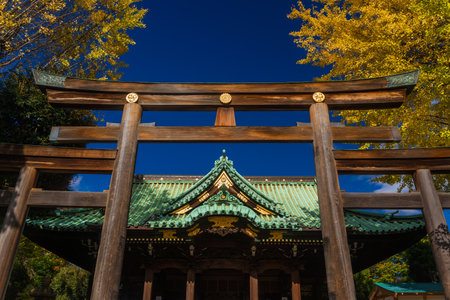 Tokyo, Japan, November 19, 2017: Religion and spirituality in Tokyo. Autumn view of Ushijima Shrine with beautiful yellow ginkgo leavesのeditorial素材