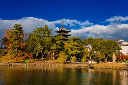 Nara, Japan, November 21, 2017: View of the Kofuku Temple Five Storied Pagoda with Sarusawa Pond in the ancient city of Naraのeditorial素材
