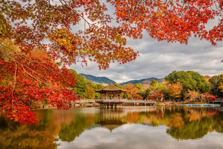 Nara, Japan, November 21, 2017: Tourists visit Nara public park in autumn, with maple leaves, pond and old pavilionのeditorial素材